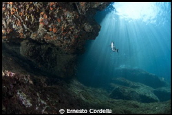seabed by Ernesto Cordella 